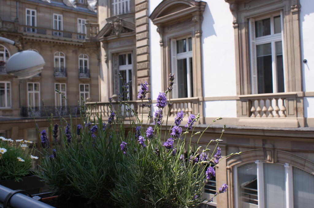 Studio De L'Hotel De Ville Strasbourg Exterior photo